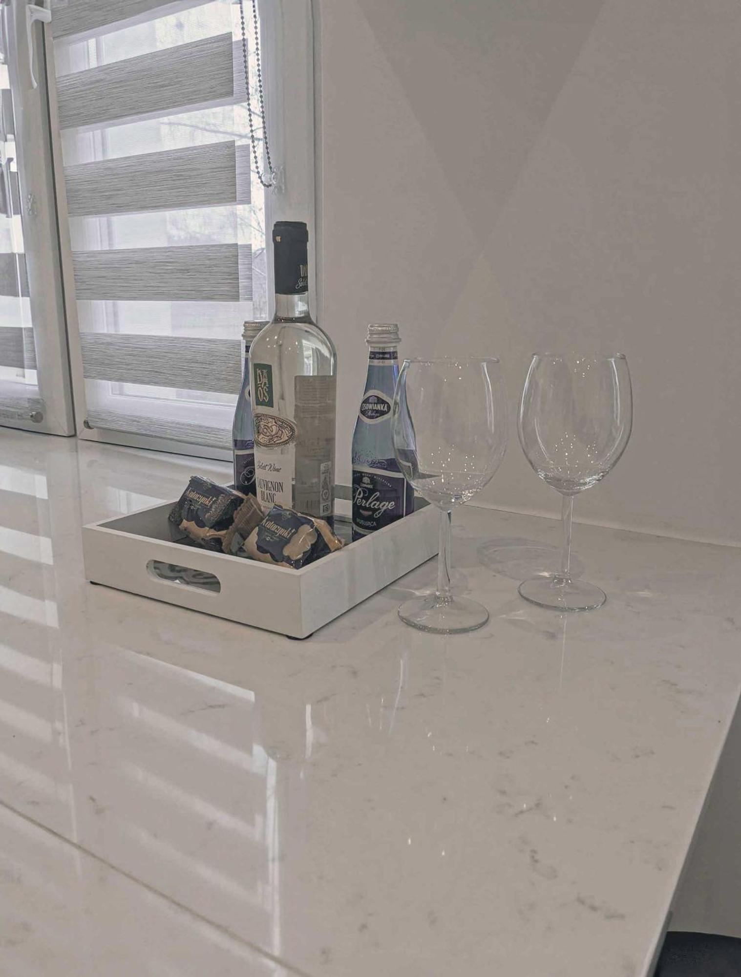 Ultra Modern, Spotless Apartment In Stary Toruń Εξωτερικό φωτογραφία
